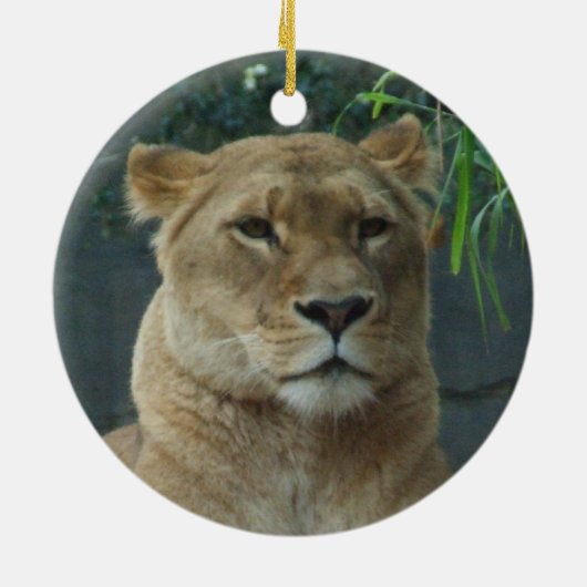 Lioness Ornament (Achterkant)