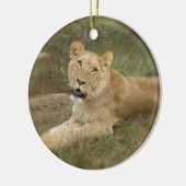 Lioness Ornament (Links)