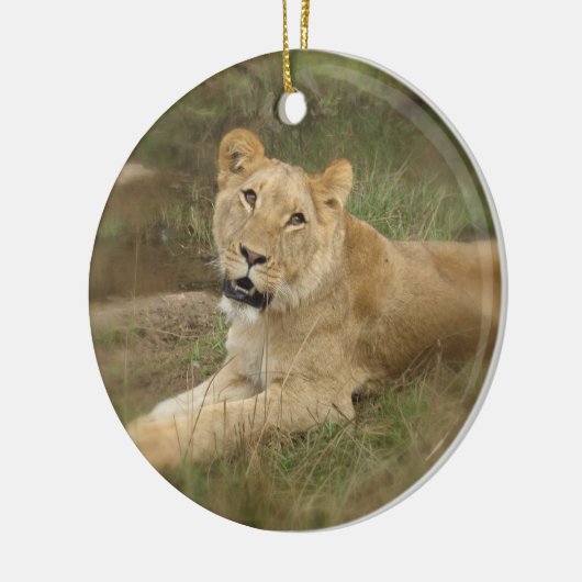Lioness Ornament (Links)