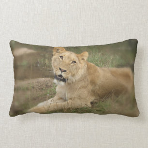Lioness Pillow Kussen