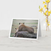 Lioness Portrait Kaart (Gele Bloem)