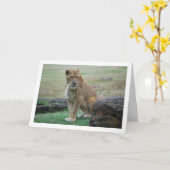 Lioness Portrait Kaart (Gele Bloem)