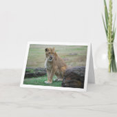 Lioness Portrait Kaart (Voorkant)