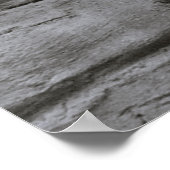 Lioness Poster (Hoek)