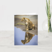 Lioness Reflection Note-kaarten Kaart (Voorkant)