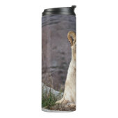 LIONESS RELAXY THERMOSBEKER (Gedraaid links)