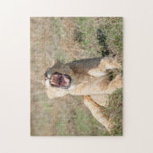 Lioness Roaring Puzzle Legpuzzel (Verticaal)