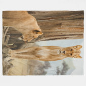Lioness Rules Fleece Deken (Voorkant (Horizontaal))