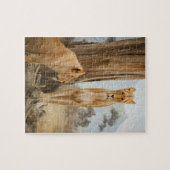 Lioness Rules Legpuzzel (Horizontaal)