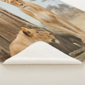 Lioness Rules Sherpa Deken (3/4)