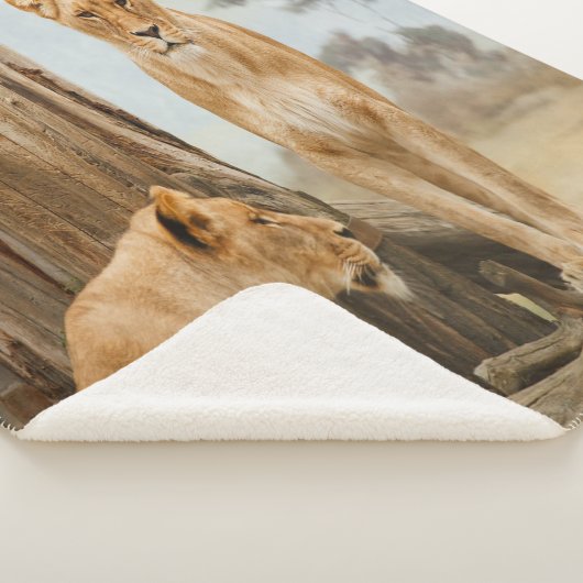 Lioness Rules Sherpa Deken (3/4)