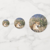 Lioness ruststing confetti (Achterkanten)