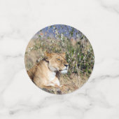 Lioness ruststing confetti (Kleine voorkant)