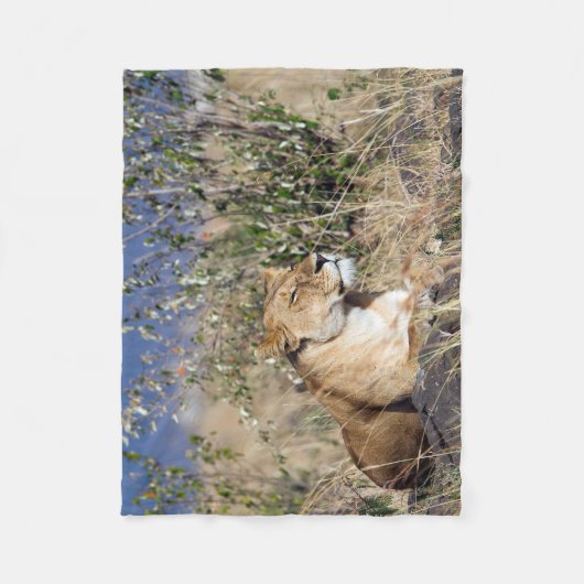 Lioness ruststing fleece deken (Voorkant)