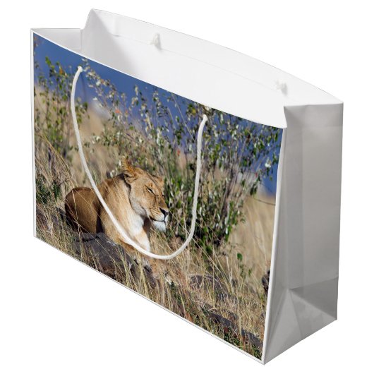 Lioness ruststing groot cadeauzakje (Achterkant Gekanteld)