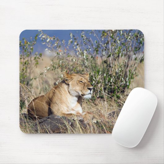 Lioness ruststing muismat (Met muis)