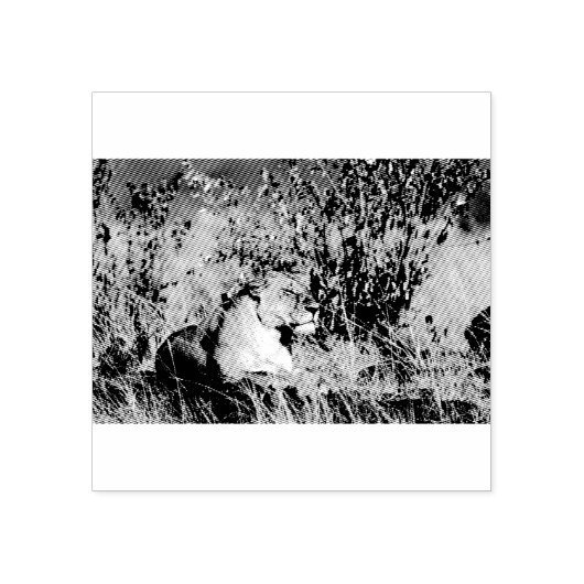 Lioness ruststing rubberstempel (Afrduk)