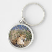 Lioness ruststing sleutelhanger (Voorkant)