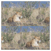 Lioness ruststing stof (Close Up)