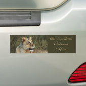 Lioness safari bumper sticker (Op auto)