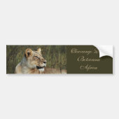 Lioness safari bumper sticker (Voorkant)