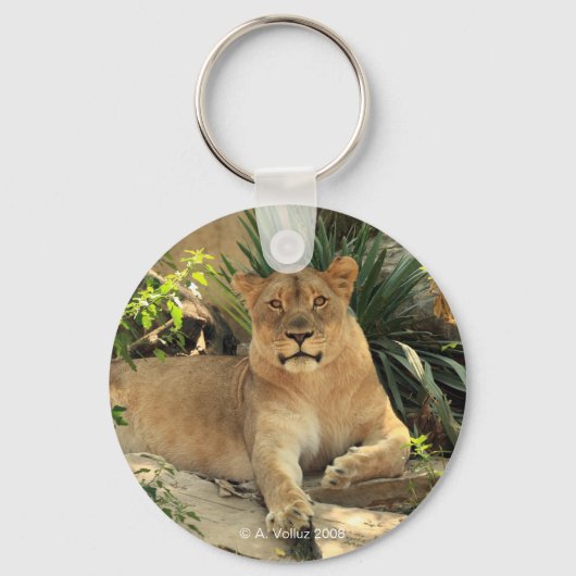 Lioness Sleutelhanger (Voorkant)