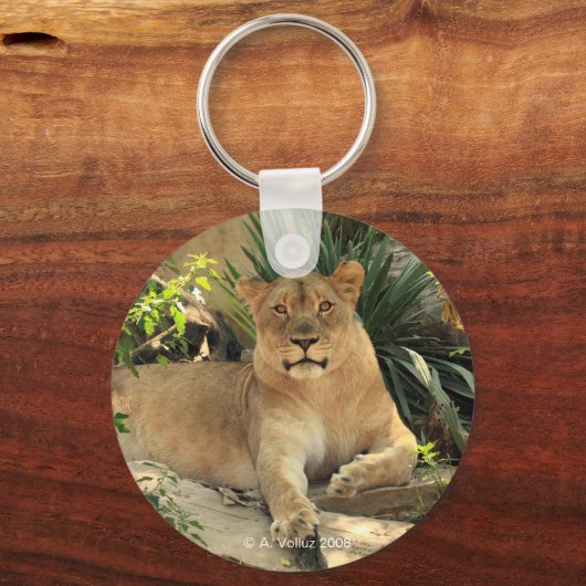 Lioness Sleutelhanger (Voorkant)