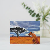 Lioness Storm Briefkaart (Staand voorkant)