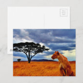 Lioness Storm Briefkaart (Voorkant / Achterkant)