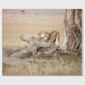 Lioness stretting cadeaupapier (Vlak)