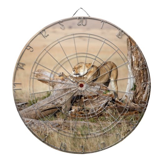 Lioness stretting dartbord (Voorkant)