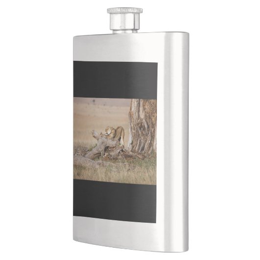 Lioness stretting flacon (Links)