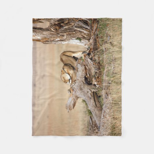 Lioness stretting fleece deken (Voorkant)