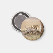 Lioness stretting magneet (Voorkant / Achterkant)