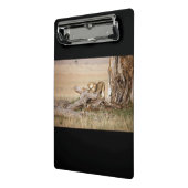 Lioness stretting mini klembord (Angled2)