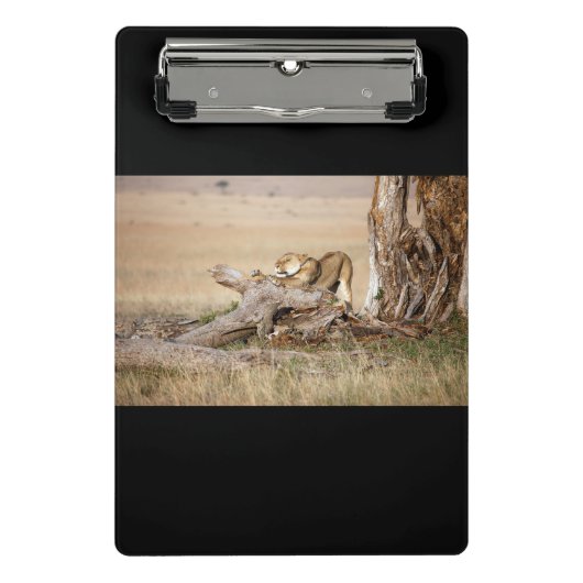 Lioness stretting mini klembord (Voorkant)