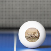 Lioness stretting pingpongbal (Net)