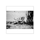 Lioness stretting rubberstempel (Afrduk)