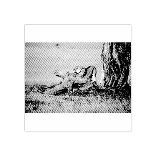 Lioness stretting rubberstempel (Afrduk)