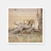 Lioness stretting servet (Voorkant)
