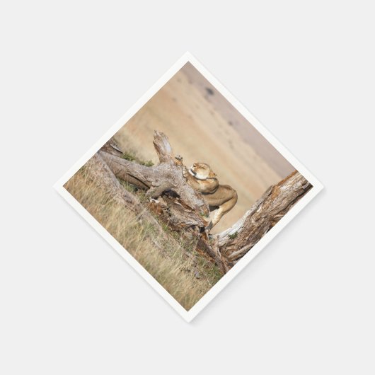 Lioness stretting servet (Hoek)