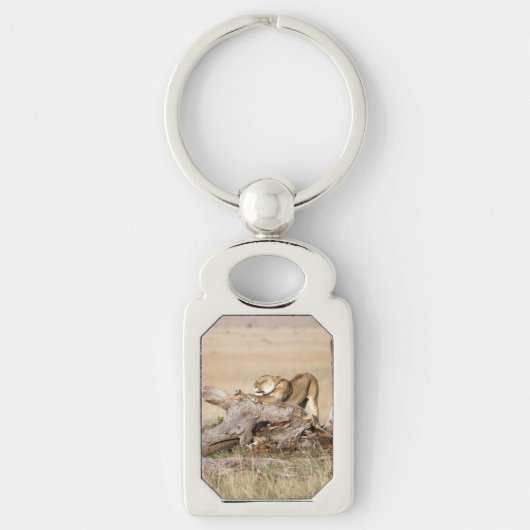 Lioness stretting sleutelhanger (Voorkant)