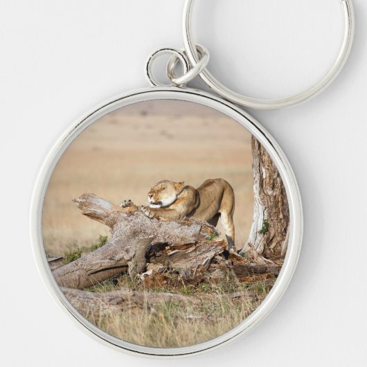 Lioness stretting sleutelhanger (Voorkant)