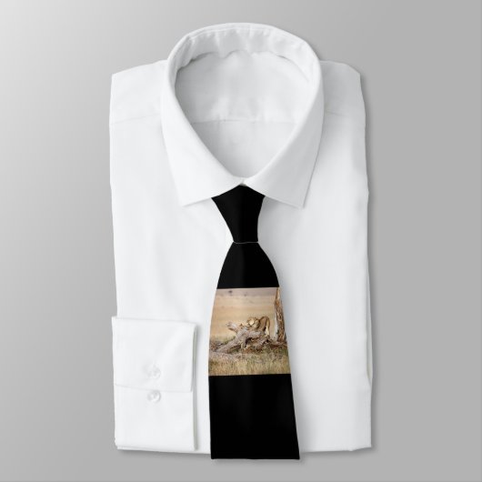 Lioness stretting stropdas (Gebonden)