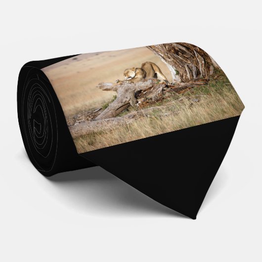 Lioness stretting stropdas (Opgerold)