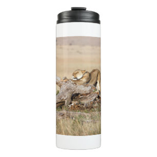 Lioness stretting thermosbeker