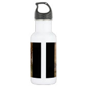 Lioness stretting waterfles  (Achterkant)