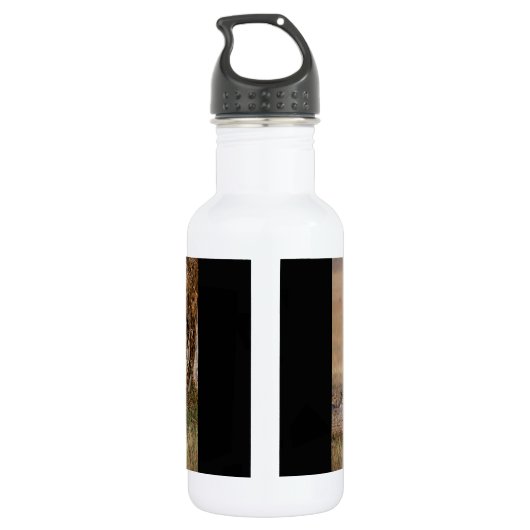 Lioness stretting waterfles  (Achterkant)