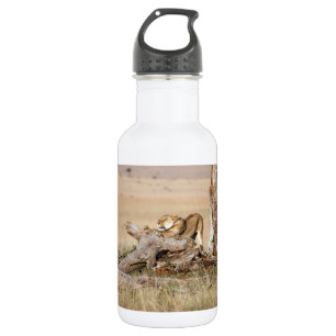 Lioness stretting waterfles 