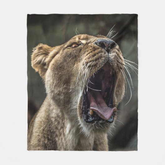 LIONESS YAWNING FLEECE DEKEN (Voorkant)